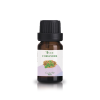 Coriander 10ml - syme - mt