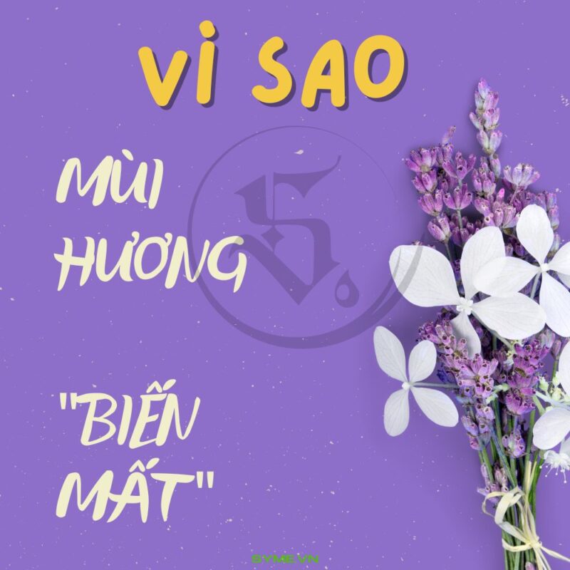 vi sao mui huong bien mat